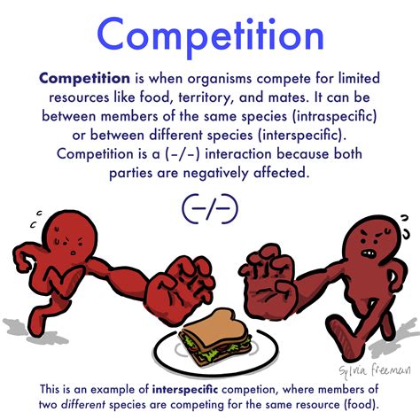 competitive rivalry example|what is competitive rivalry.